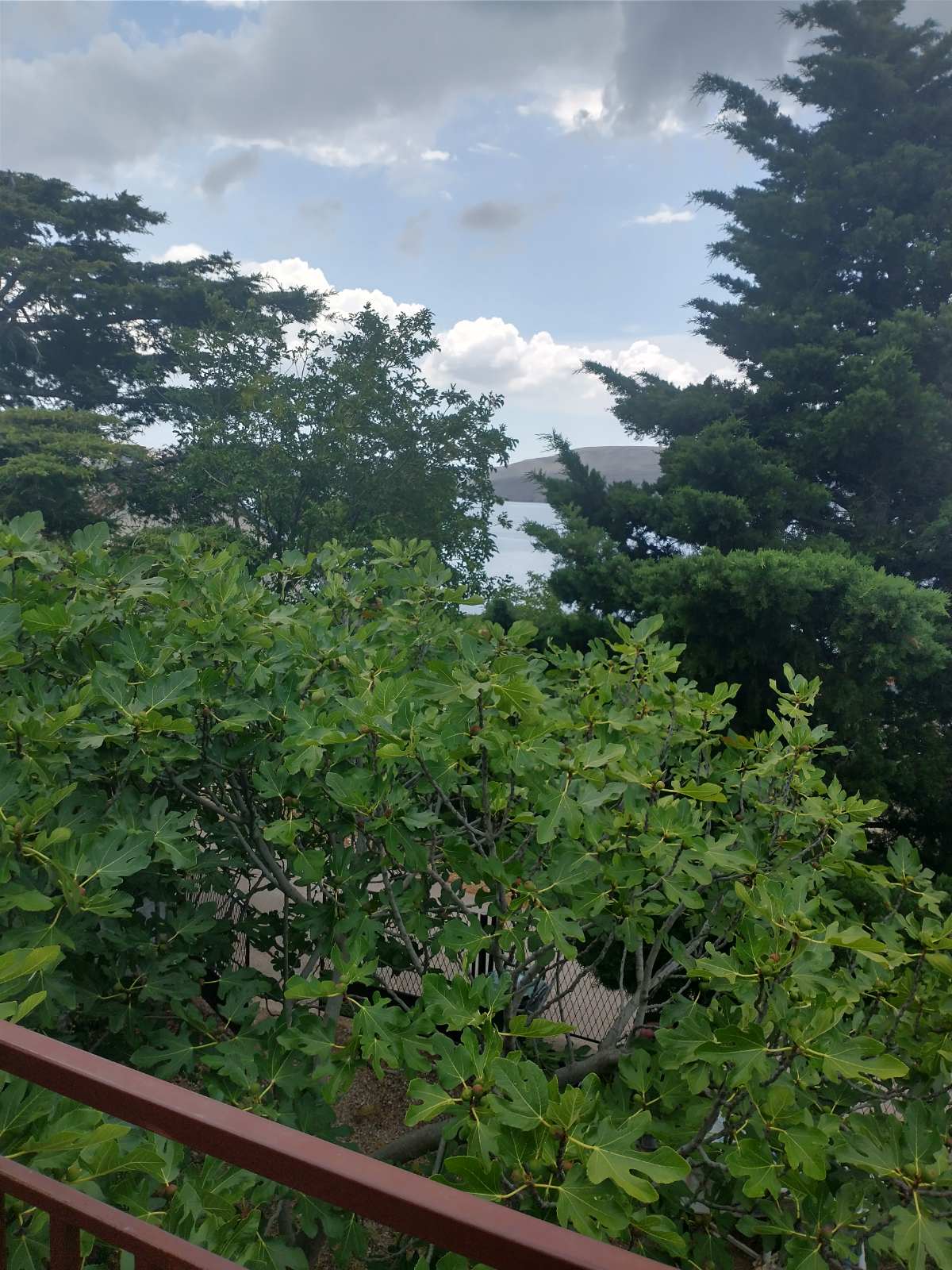Slike kuće i okolice
