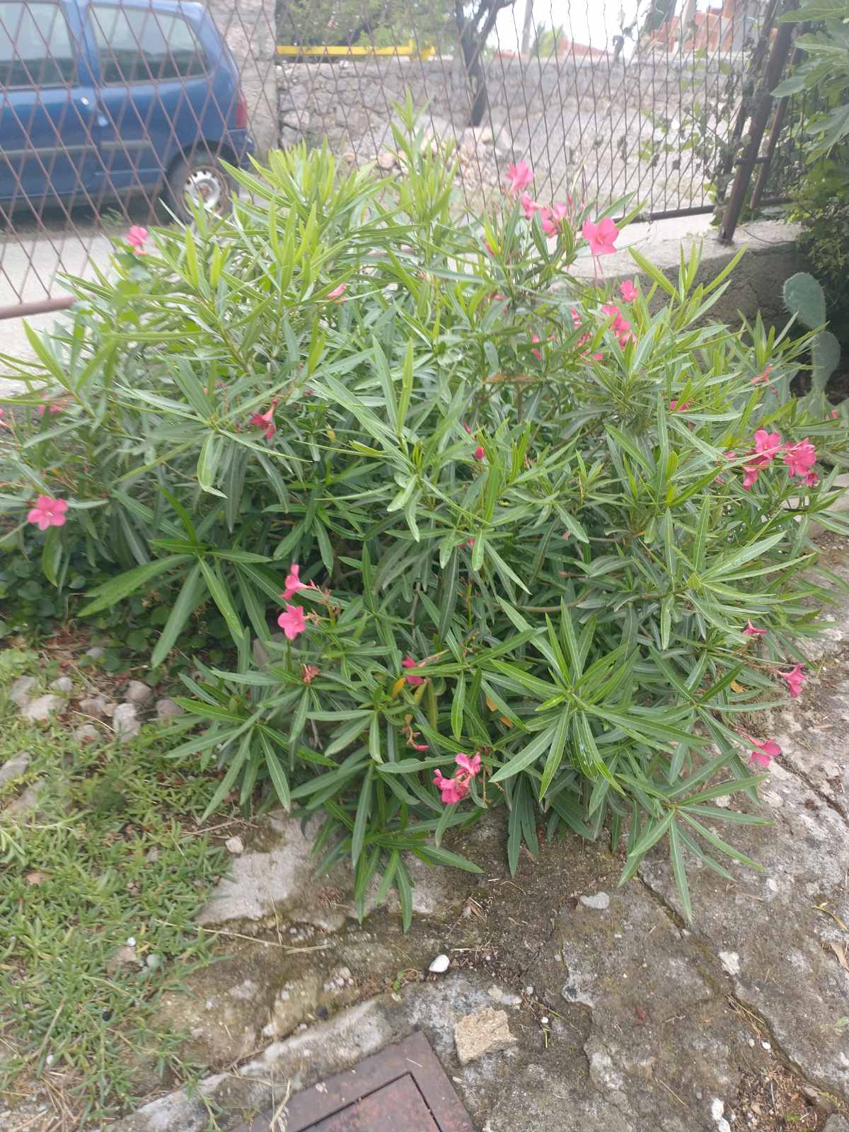 Slike kuće i okolice