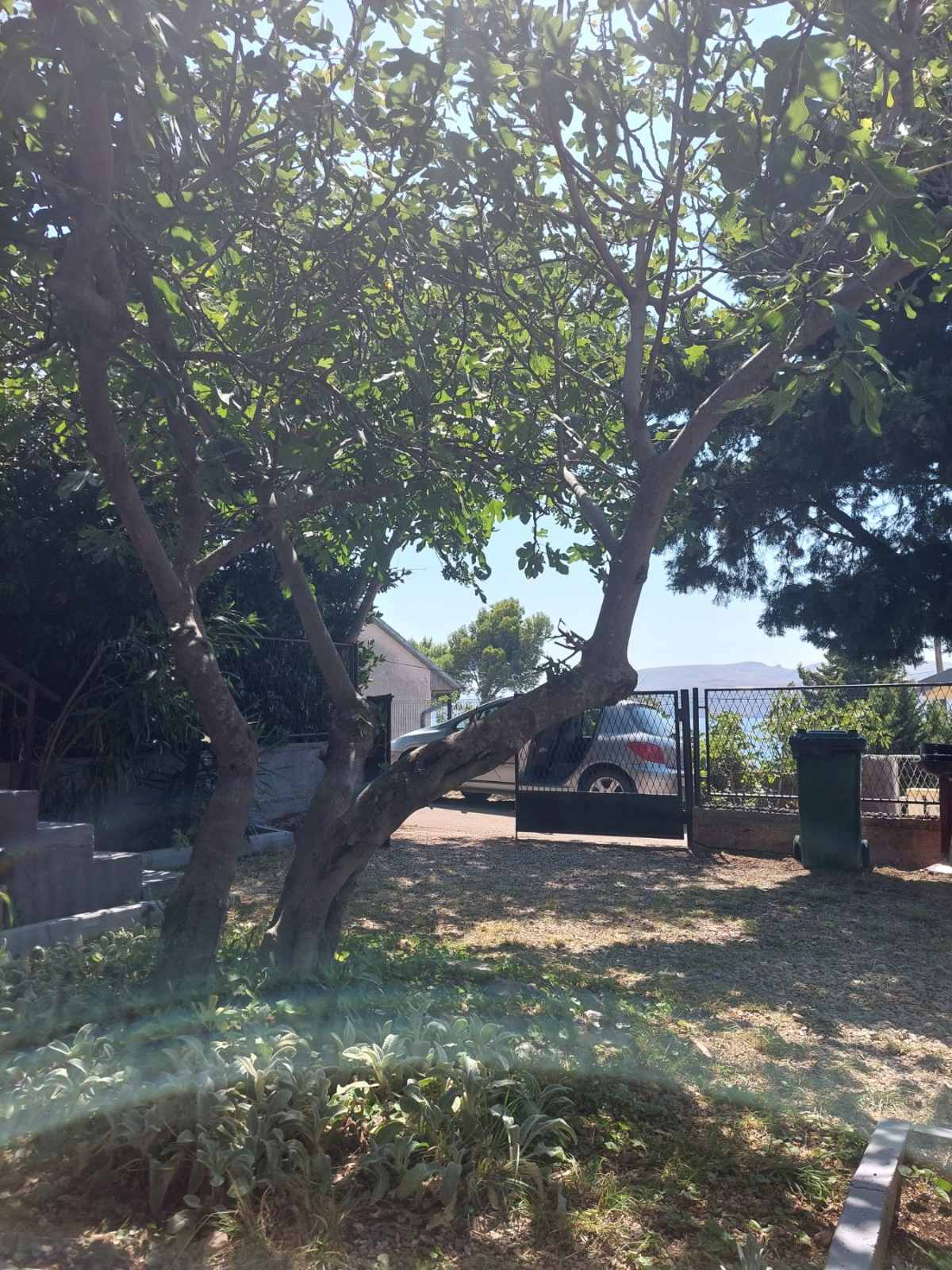 Pictures of the house